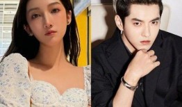 吃瓜明星黑料 明星黑料进入口 娱乐圈文,明星黑料揭秘，口口相传的八卦盛宴